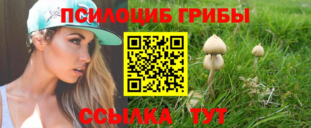 Галлюциногенные грибы Psilocybine cubensis Бугуруслан